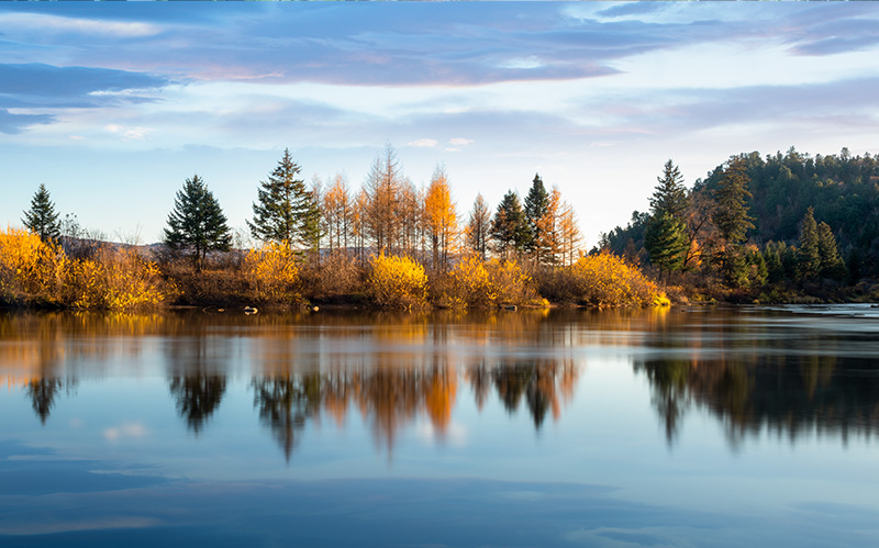 【数字政府】助力新质生产力加快形成和发展 促进数字经济和实体经济深度融合